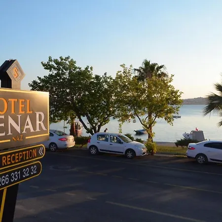 Senar Ayvalı