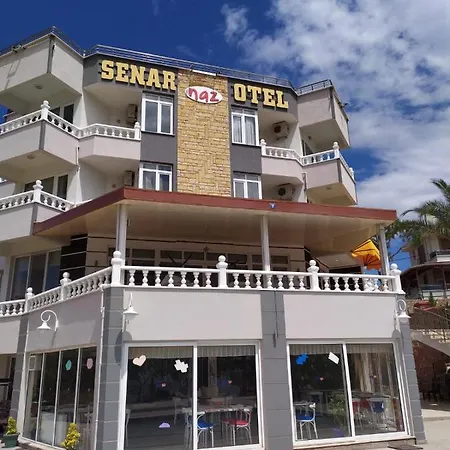Senar * Ayvalı