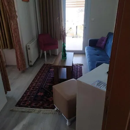 Отель Senar